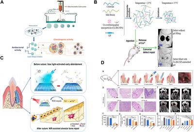 Advances in Copper-Based Biomaterials With Antibacterial and Osteogenic Properties for Bone Tissue Engineering